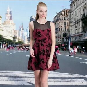 Red and Black Floral Velvet Dress